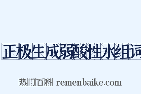 正极生成弱酸性水组词是什么意思的图片